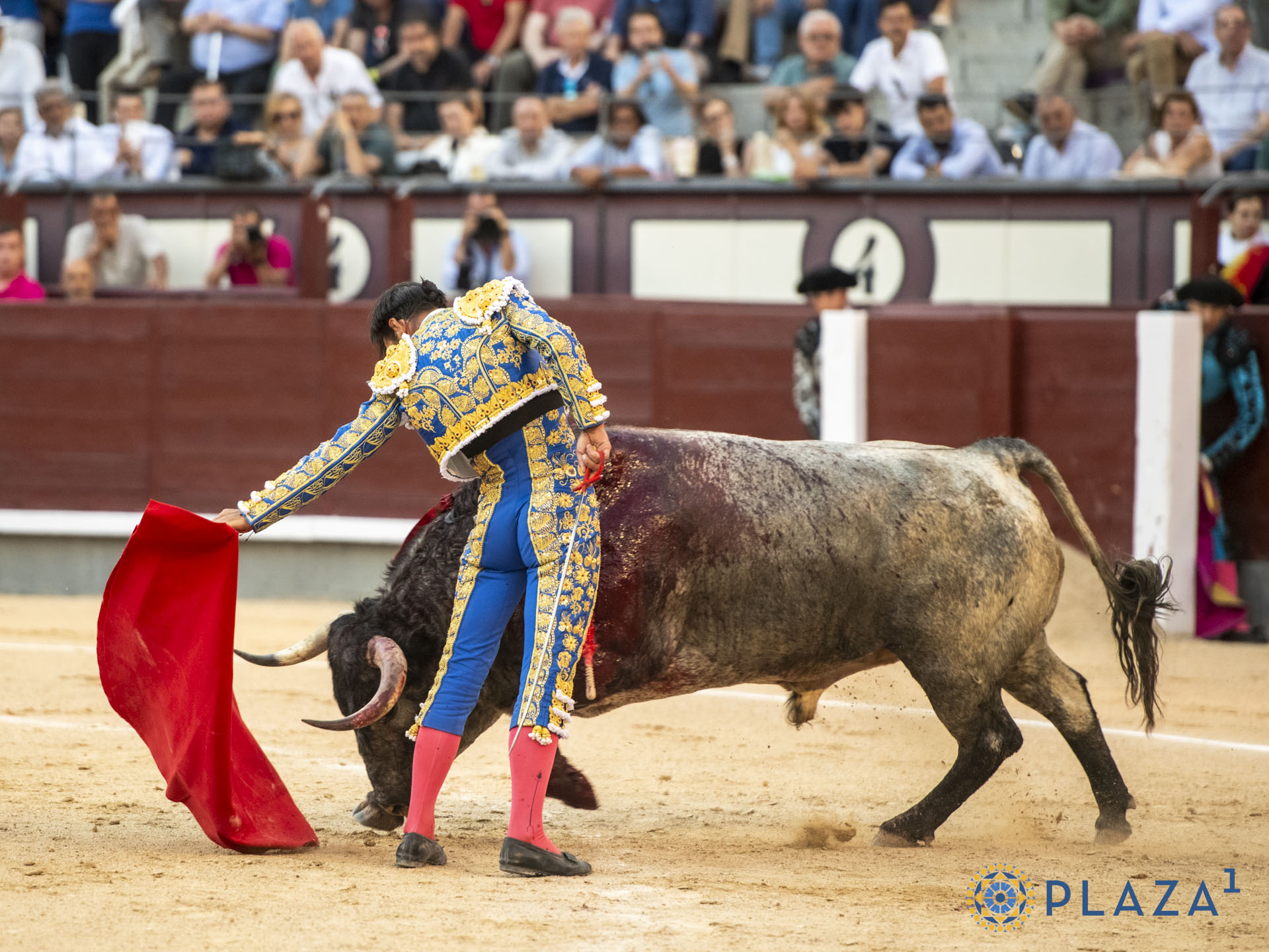 En vídeo, el resumen de la vigesimosegunda de San Isidro