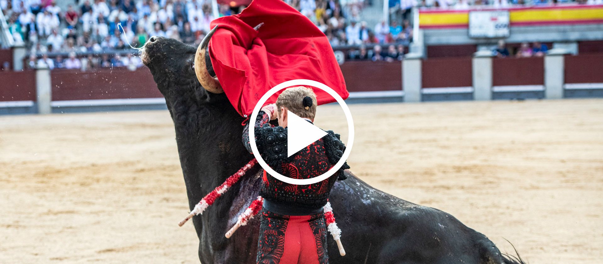 En vídeo, el resumen de la vigesimoquinta de San Isidro