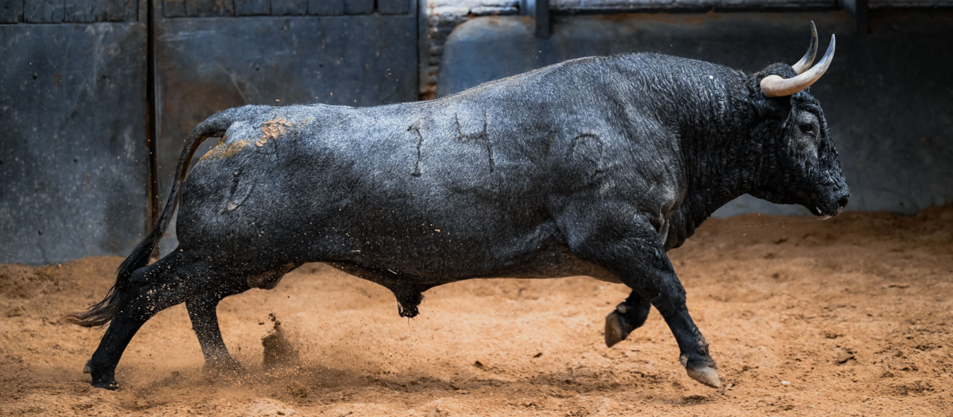 Seis toros de Victorino Martín para la 26ª de San Isidro