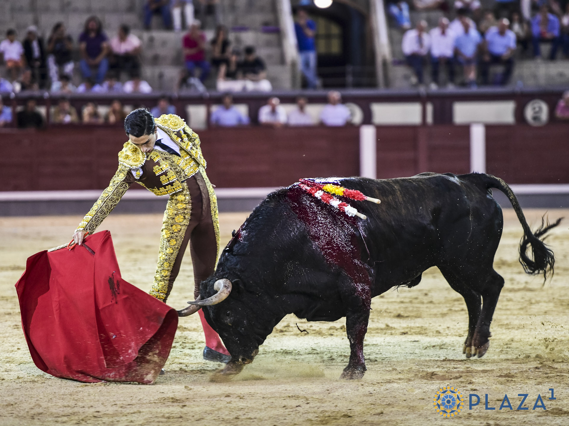 En vídeo, el resumen de la primera novillada nocturna del certamen 'Cénate Las Ventas'