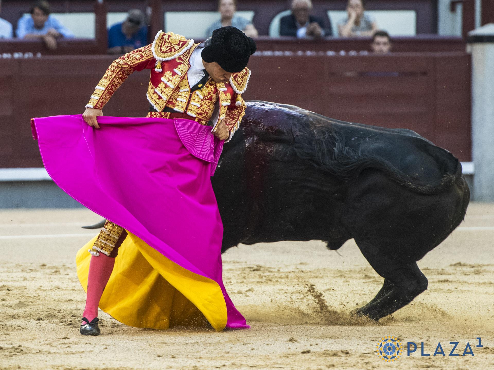 En vídeo, el resumen de la segunda novillada de 'Cénate Las Ventas'
