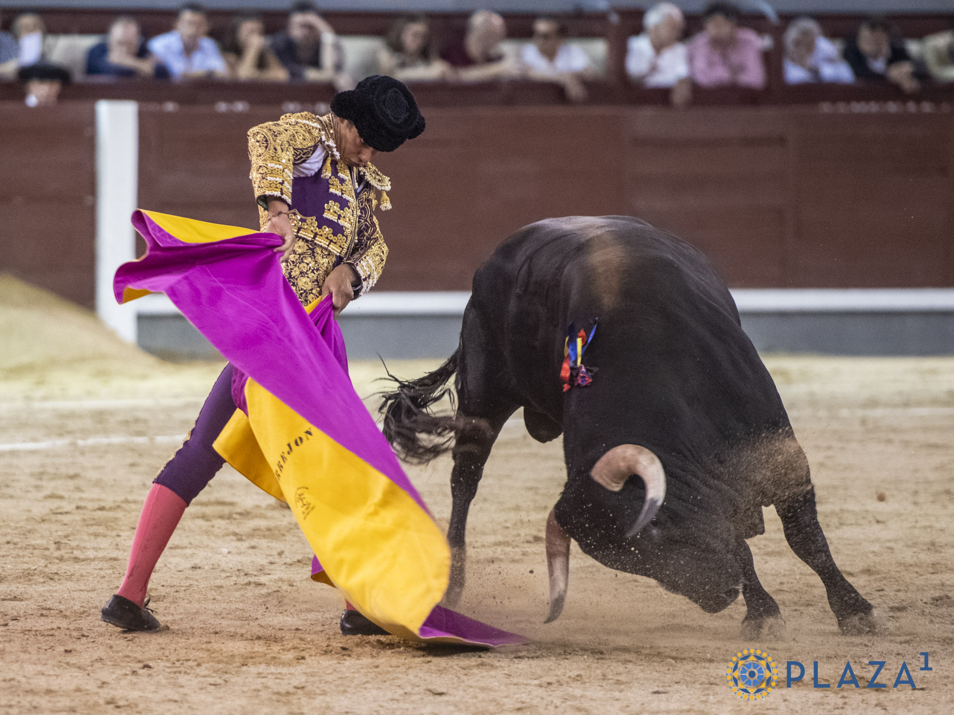 En vídeo, el resumen de la final del Certamen 'Cénate Las Ventas'