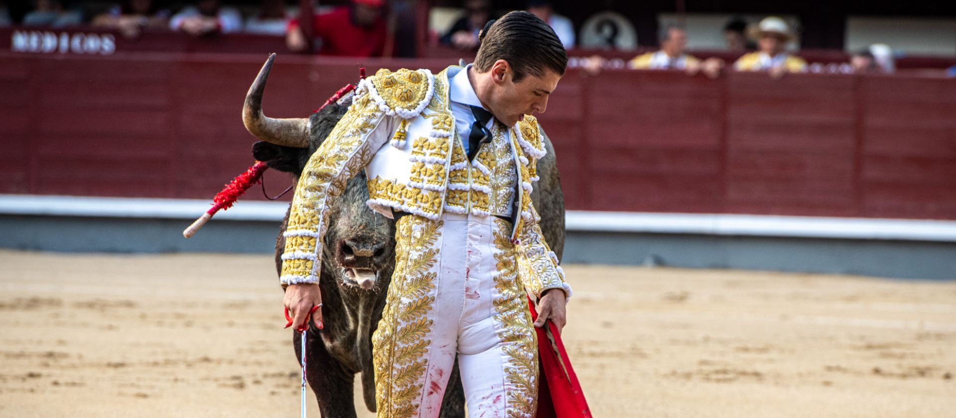 Alejandro Mora, ante su regreso a Las Ventas este jueves