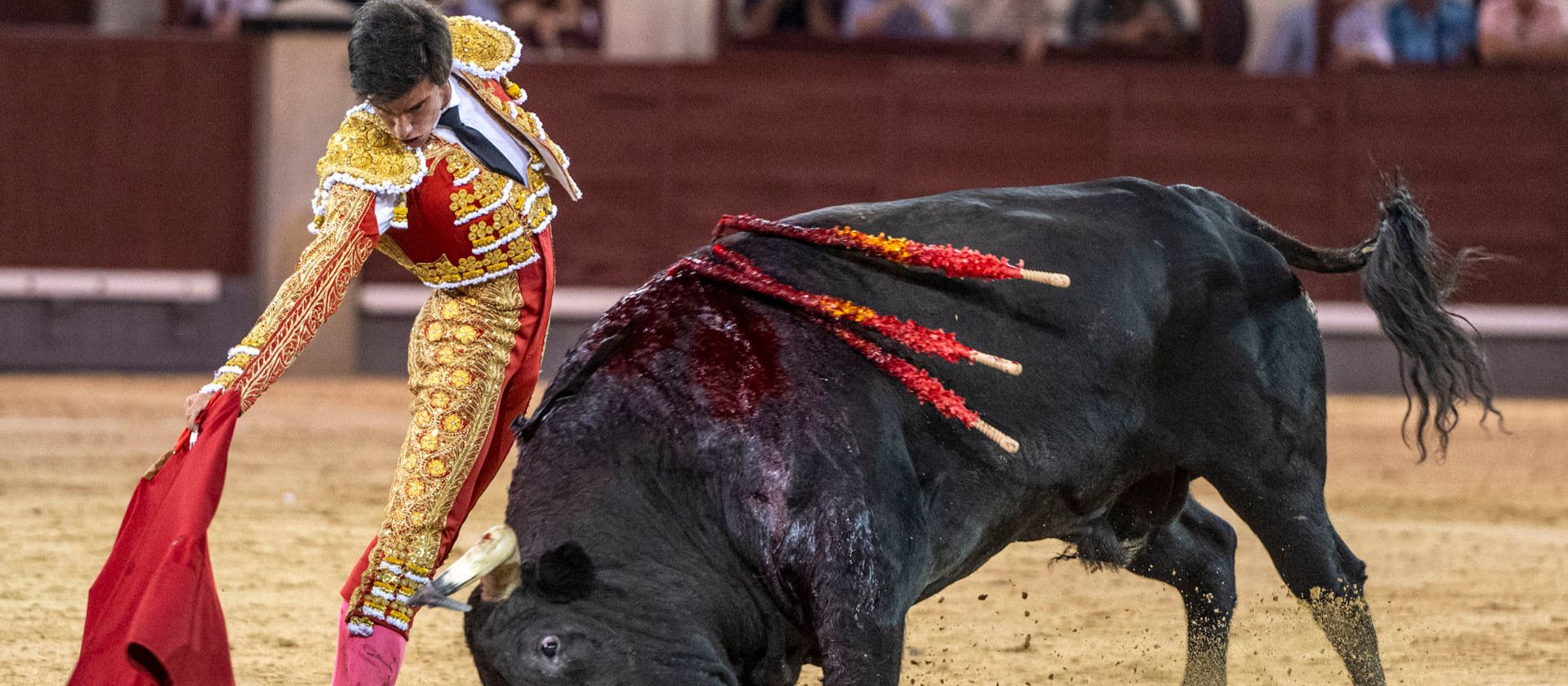 Saludos de Alejandro Peñaranda en la primera corrida de toros de agosto