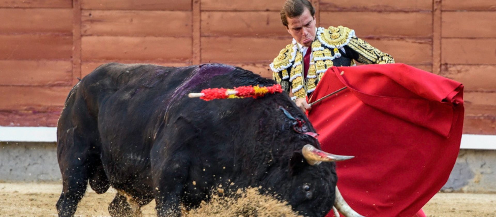 Javier Cortés, ante su regreso a Las Ventas en la festividad de La Paloma