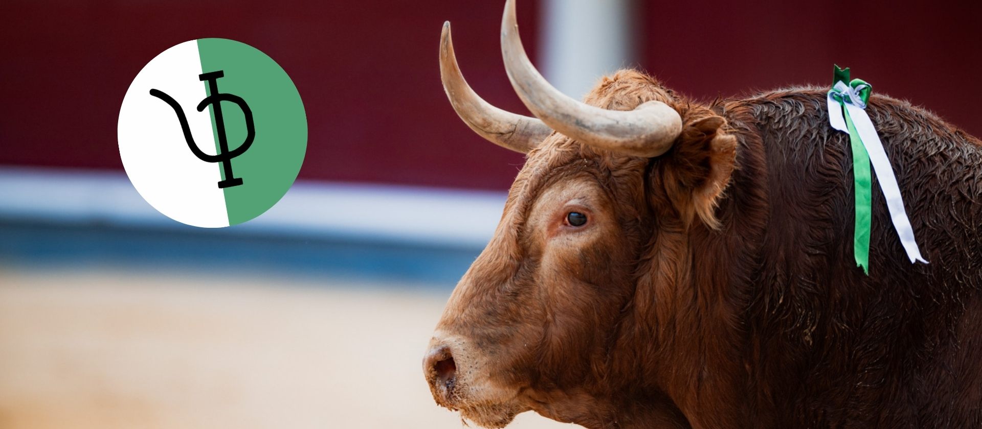 Pedraza de Yeltes y un esperado regreso este jueves a Las Ventas
