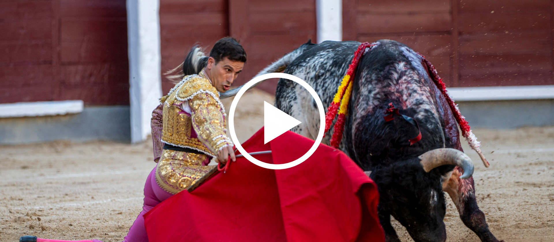 En vídeo, el resumen del primer desafío ganadero