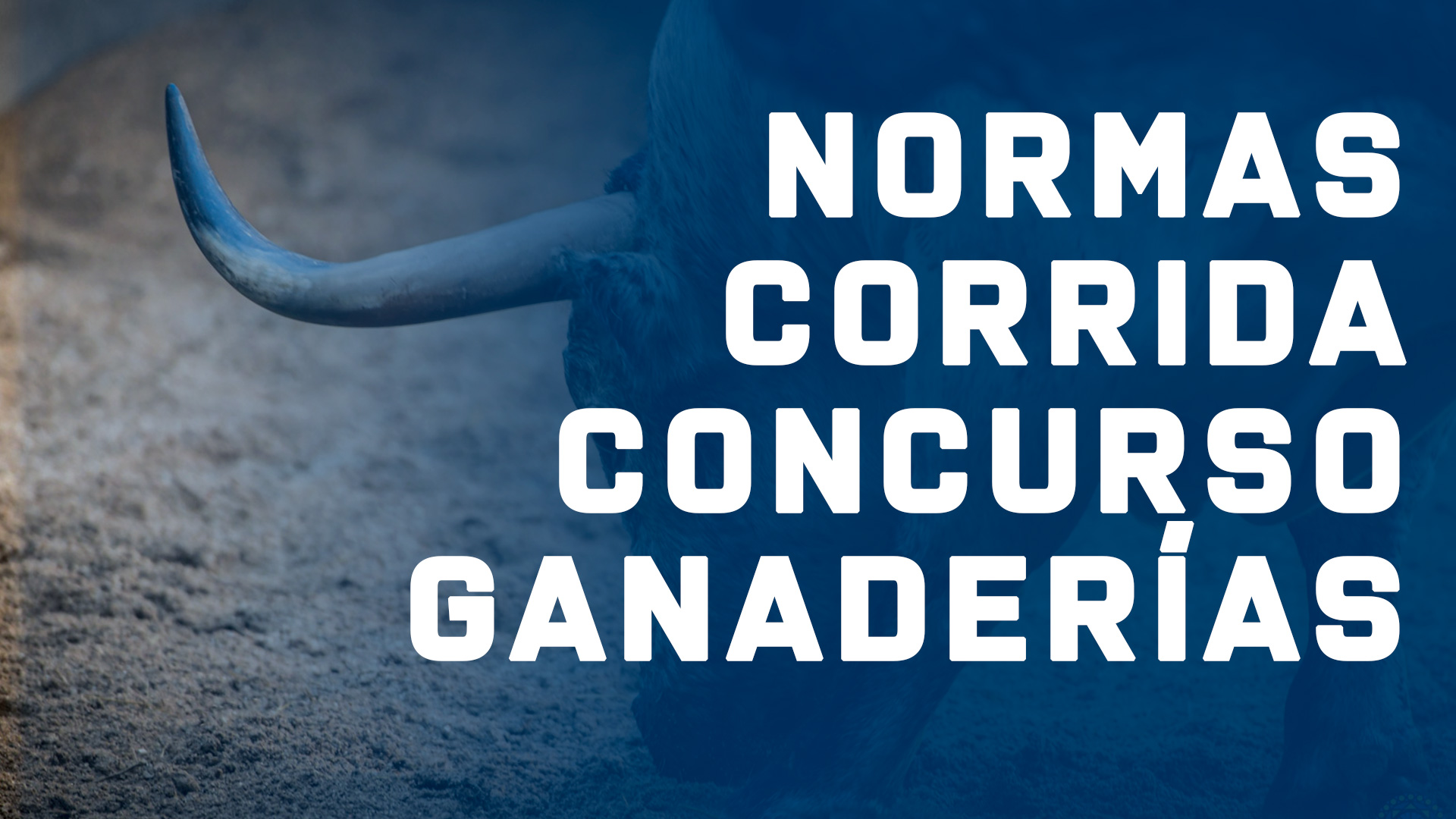 Normas de la Corrida de toros concurso de ganaderías 2026