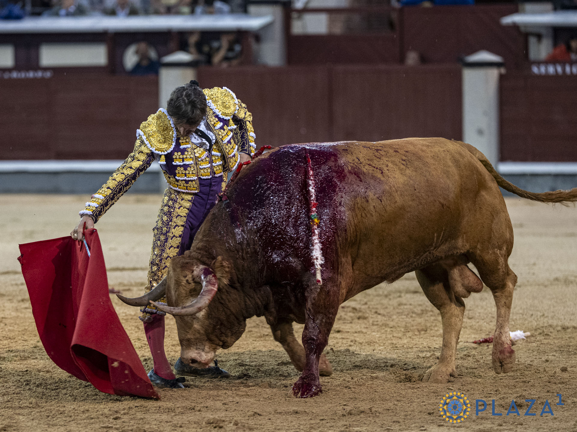En vídeo, el resumen de la primera corrida de toros de Otoño