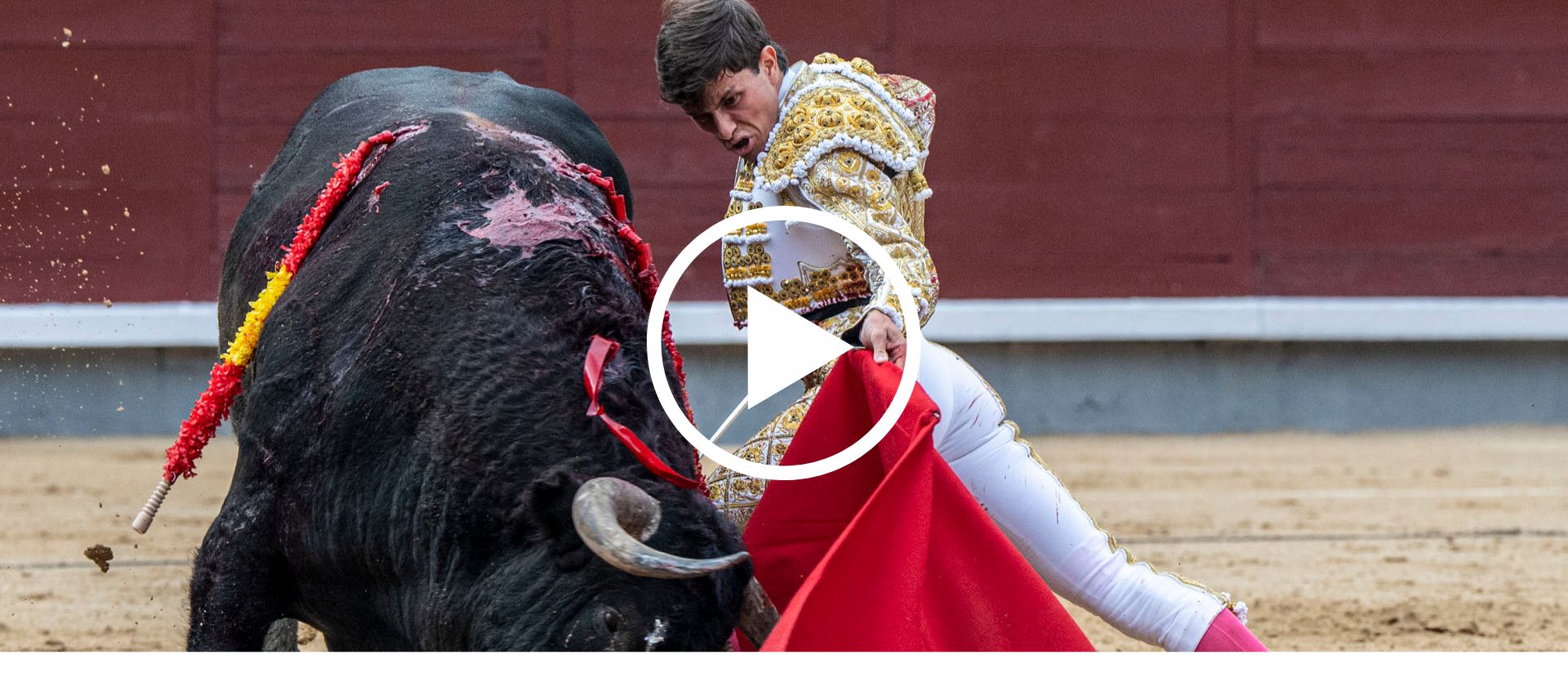 En vídeo, el resumen de la cita del Día de la Hispanidad 2026